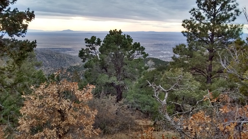 View of Albuquerque from this side of the mountain.